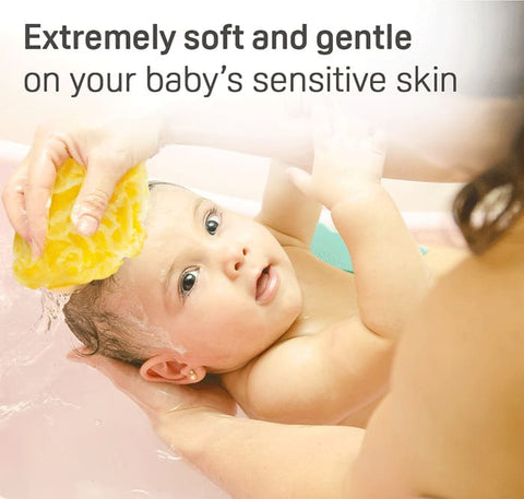 Pigeon Natural Spong Large